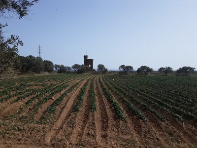 Torre de les Llebres